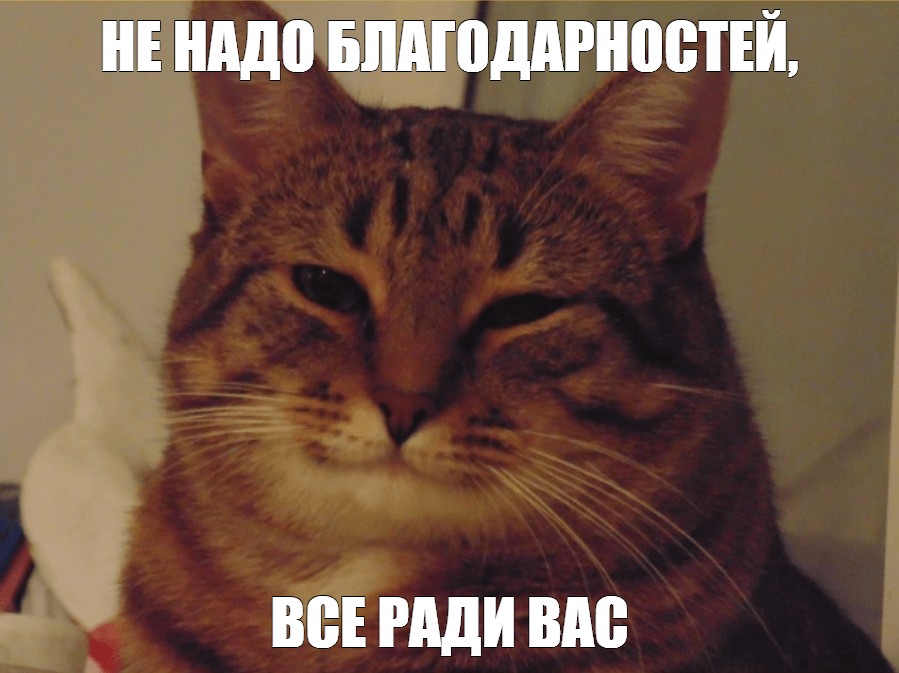 Лучшей благодарности чем анал не придумать