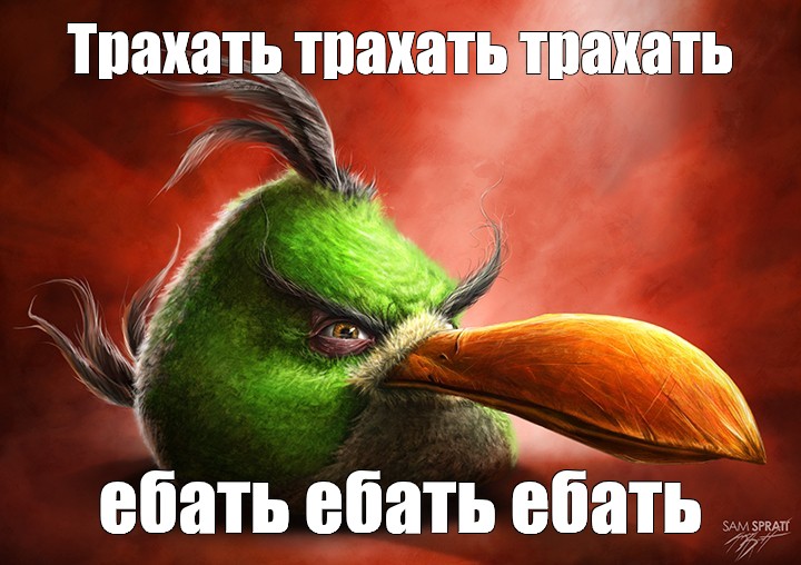 Секса 16 17 Энгри Секса 16 17 Энгри