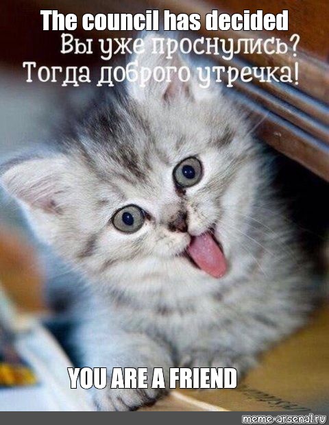 Meme: "The council has decided YOU ARE A FRIEND" - All Templates - Meme ...