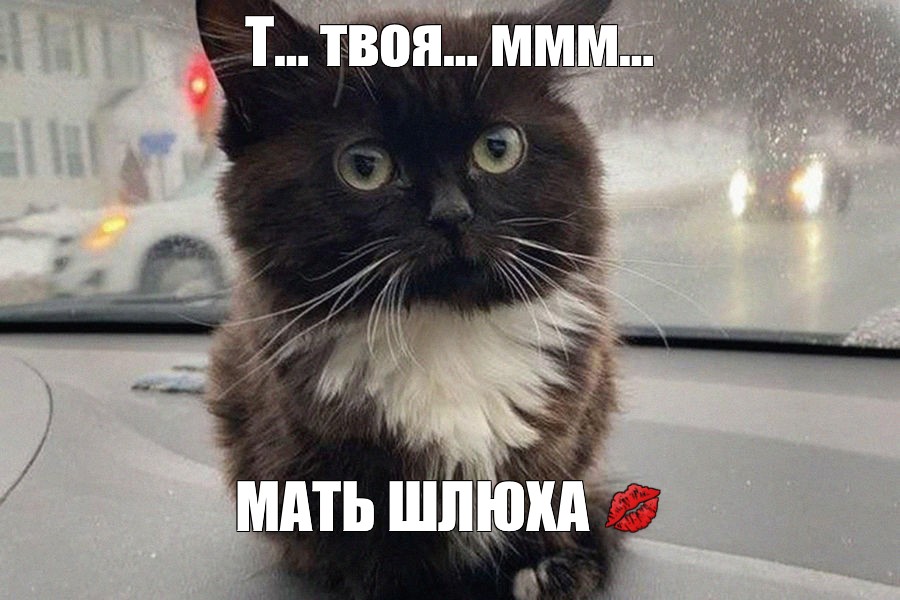 Мем Шлюха Мем Шлюха