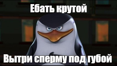 Ебло Мем