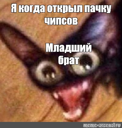 Стейси я же твой старший брат HD