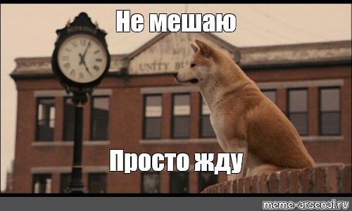 Знает что ее ждёт гиф Знает что ее ждёт гиф