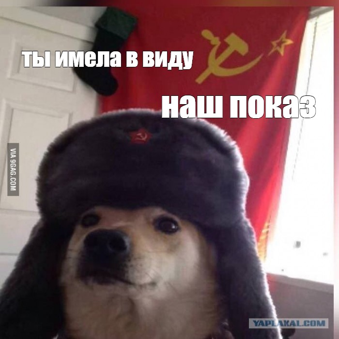 Создать комикс мем "собака, doge в шапке ушанке, communist doggo ...