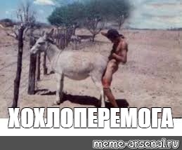 Секс Лежа Ишака Секс Лежа Ишака