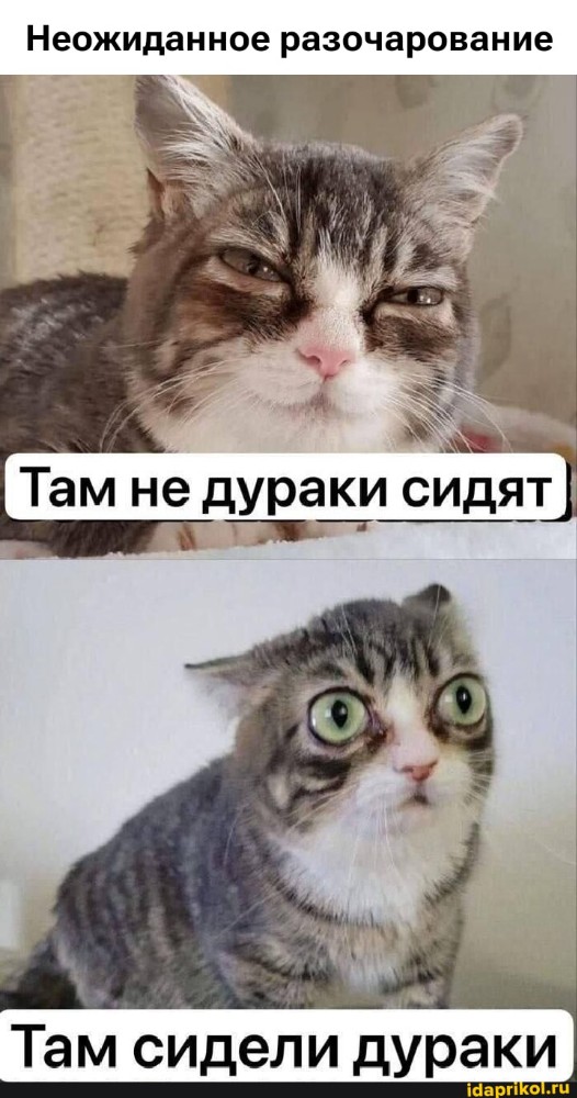 b64fd7c957a871d61afa2148d43e3ec7.jpg