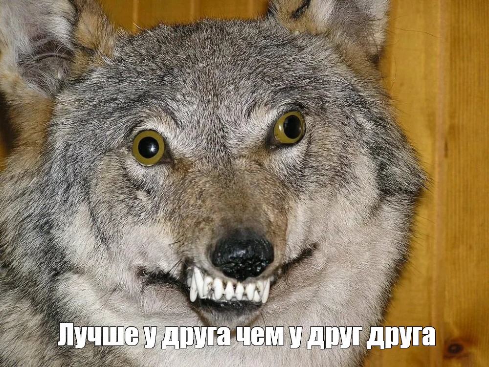 Meme meme