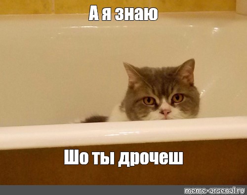 А Я Знаю Что Ты Дрочишь Вк А Я Знаю Что Ты Дрочишь Вк