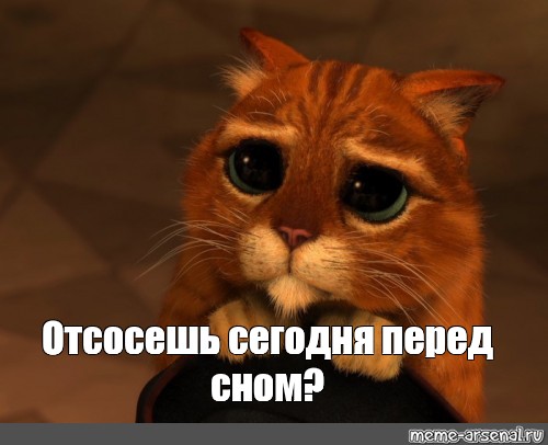 Всегда найдется сучка которая без лишних слов отсосет Всегда найдется сучка которая без лишних слов отсосет