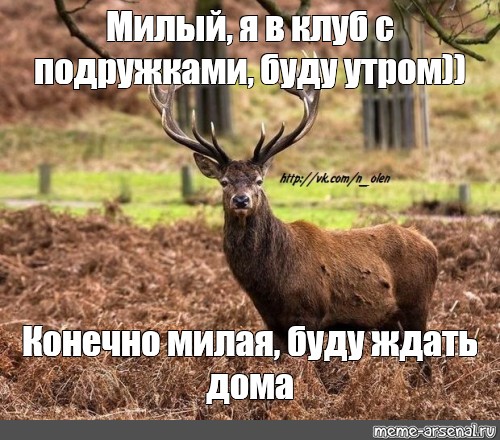Наивная подруга готовится раздеться передо мной