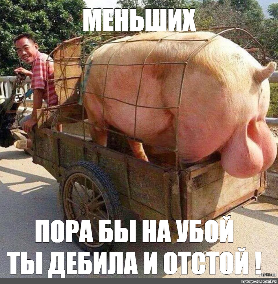 Такой гигантской сракой только маньяков пугать Такой гигантской сракой только маньяков пугать