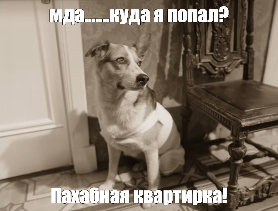 Комментарии