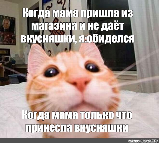 Пришла из магазина и разбудила лентяя Пришла из магазина и разбудила лентяя