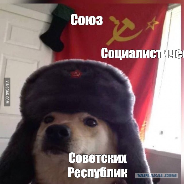Создать комикс мем "собака, doge в шапке ушанке, communist doggo ...