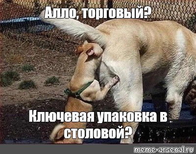 Эй я же твой брат мне совсем не обязательно сосать за поездку Эй я же твой брат мне совсем не обязательно сосать за поездку
