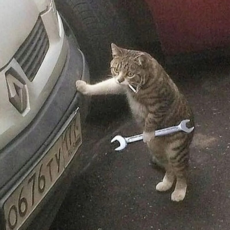 cat with a wrench - All Templates - Create meme / Meme Generator