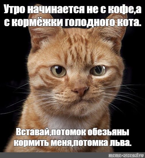 День начинается не с кофе а со стонов День начинается не с кофе а со стонов