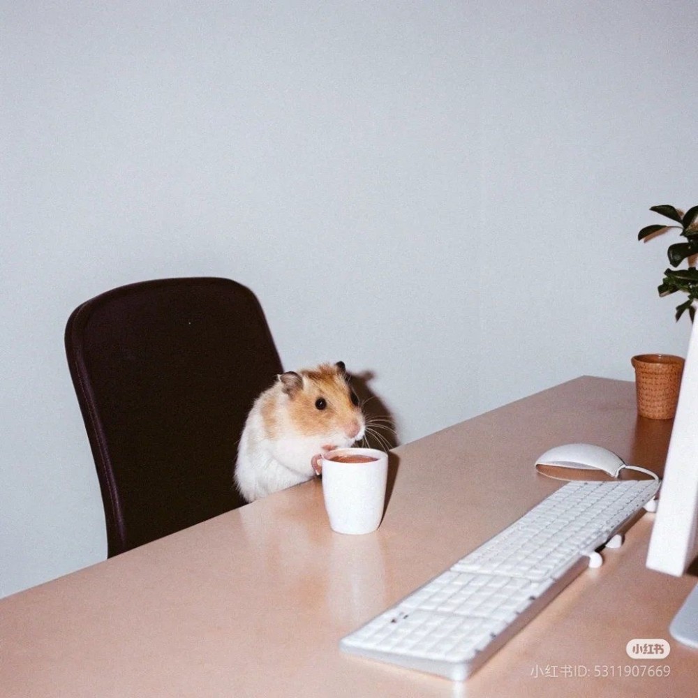 Create meme "hamster , A hamster, computer hamster" - Pictures - Meme ...
