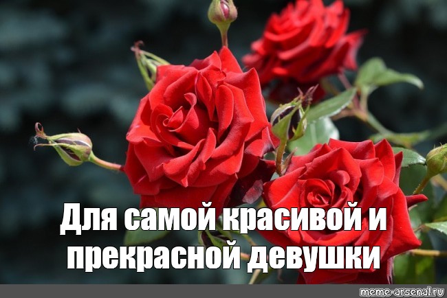 Фото С Надписью Самой Красивой Девушке Фото С Надписью Самой Красивой Девушке