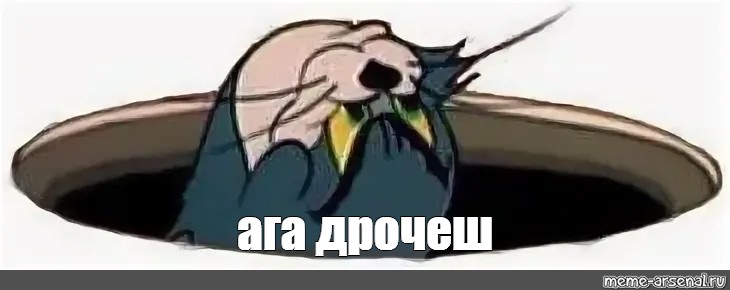 Кот Дрочит Мем Кот Дрочит Мем
