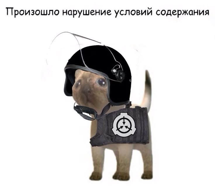 Create meme "The SCP memetic threat, there has been a violation of the ...