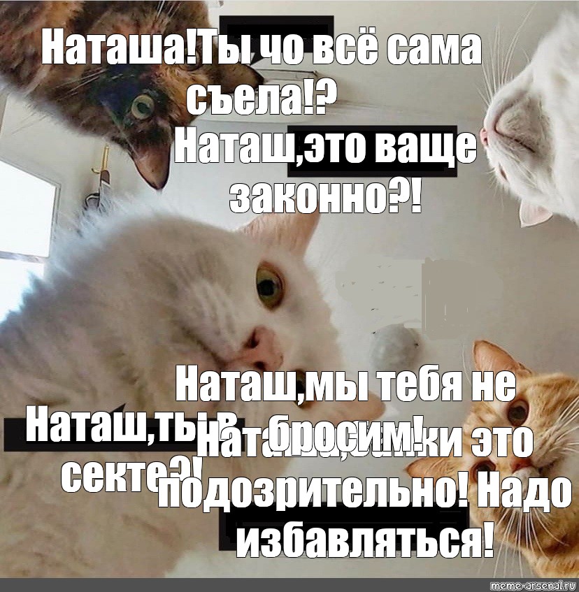 Наташа не предохранялась и забеременела Наташа не предохранялась и забеременела