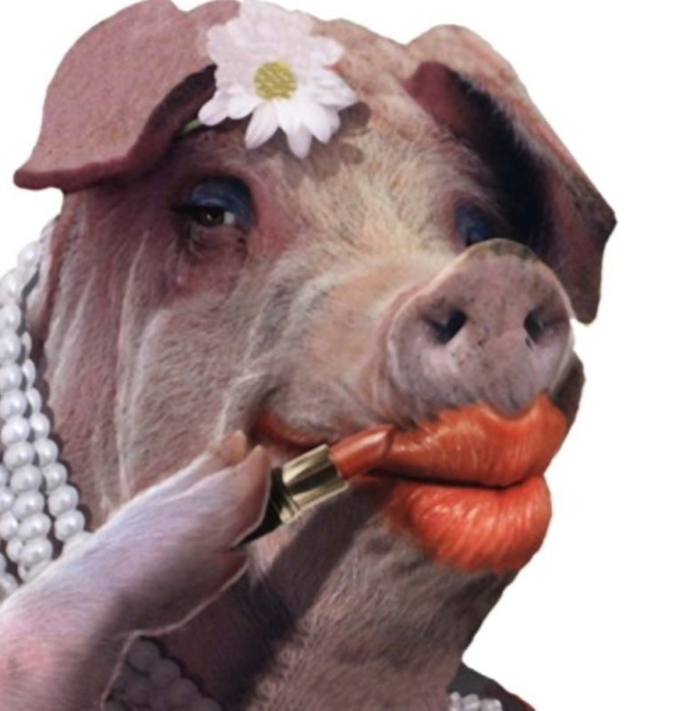 politically incorrect - Create meme / Meme Generator - Meme-arsenal.com
