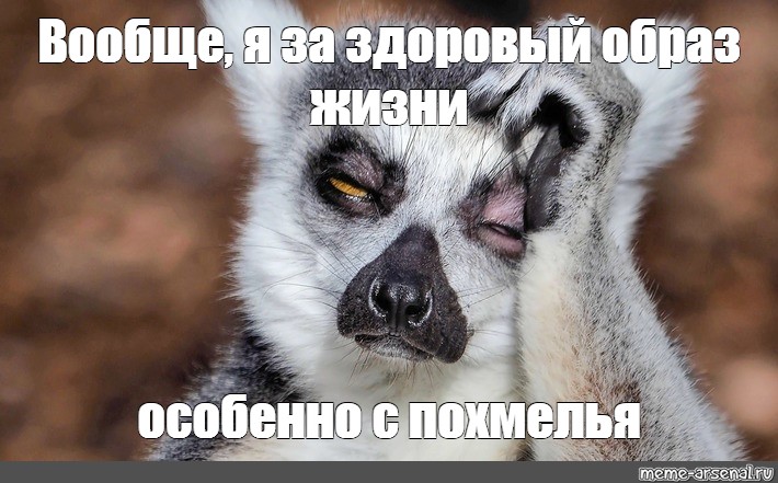 Фото Похмелье С Утра Прикольные Девушке Фото Похмелье С Утра Прикольные Девушке