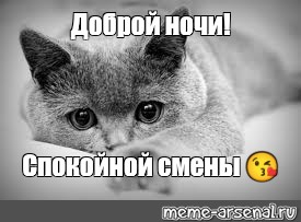 Прелести девушек на дают спокойно работать Прелести девушек на дают спокойно работать
