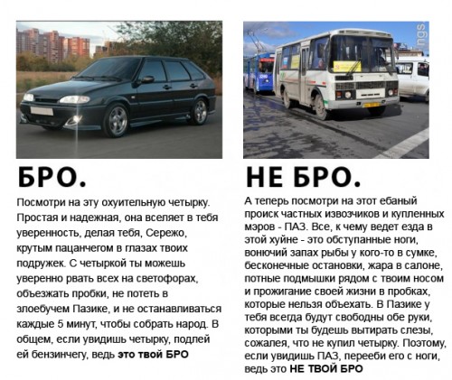 Для бро не должно быть жалко шлюшки Для бро не должно быть жалко шлюшки