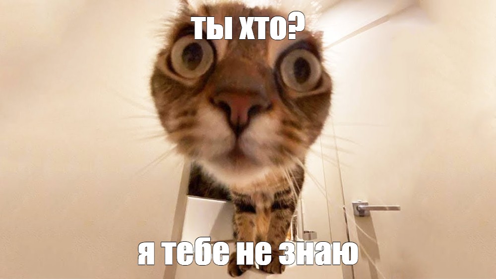 Кто-то взял камеру просто так