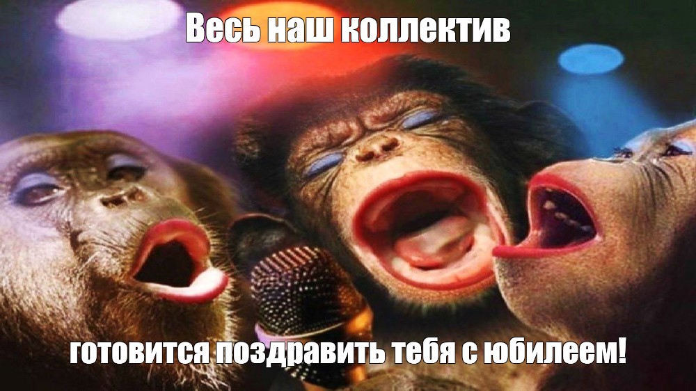 Марамойки озорничают у себя дома
