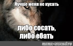 Ебать Я Хотела Лишь Сосать Ебать Я Хотела Лишь Сосать