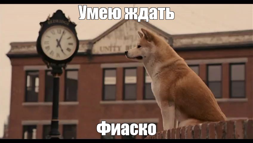 Знает что ее ждёт гиф Знает что ее ждёт гиф