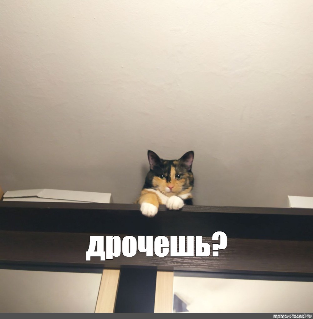 А Я Знаю Что Ты Дрочишь Вк А Я Знаю Что Ты Дрочишь Вк