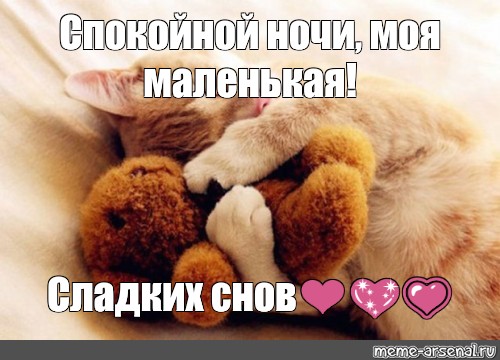 Спокойной Ночи Славной Дрочки Спокойной Ночи Славной Дрочки