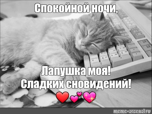 Спокойной Ночи Славной Дрочки Спокойной Ночи Славной Дрочки