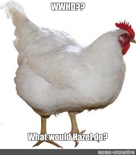 Create meme 